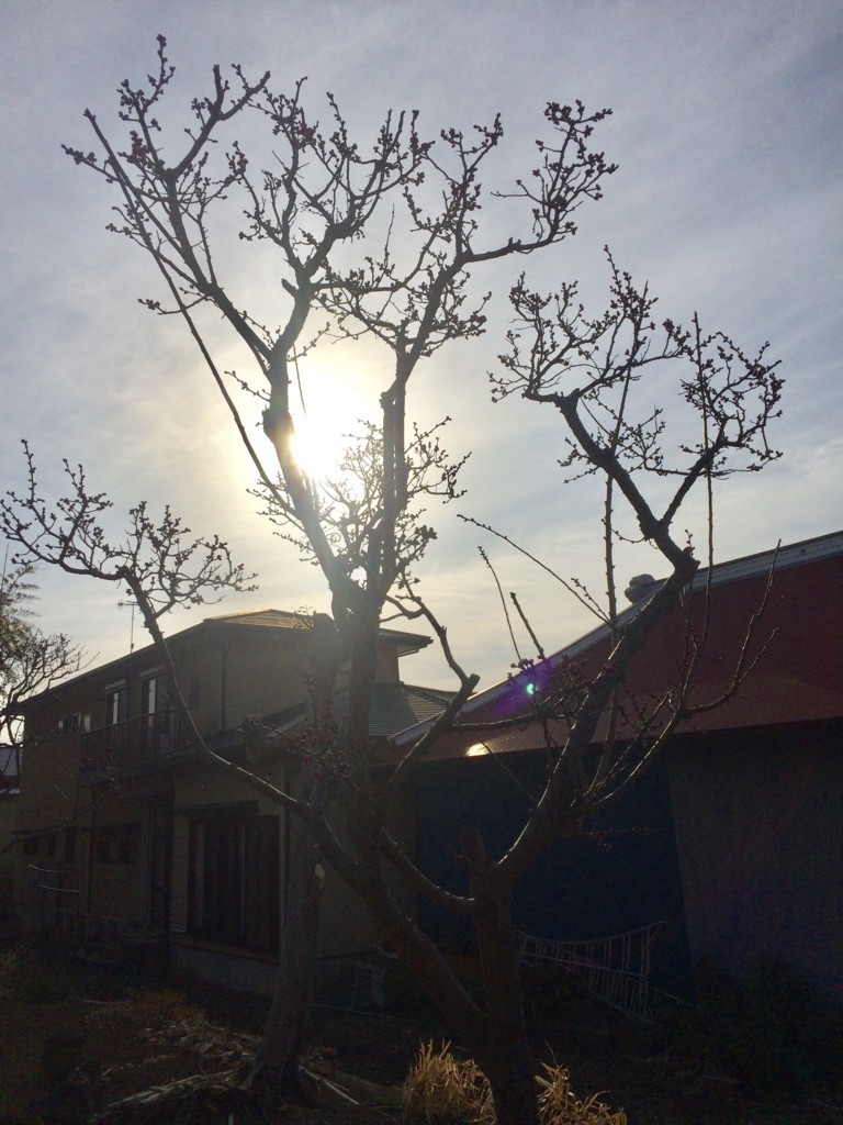 f:id:dohgen:20180215082958j:plain