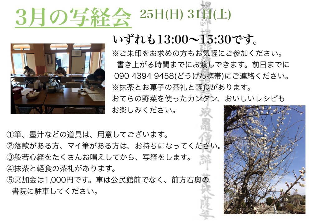 f:id:dohgen:20180219150729j:plain