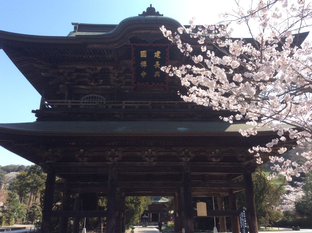 f:id:dohgen:20180329093218j:plain