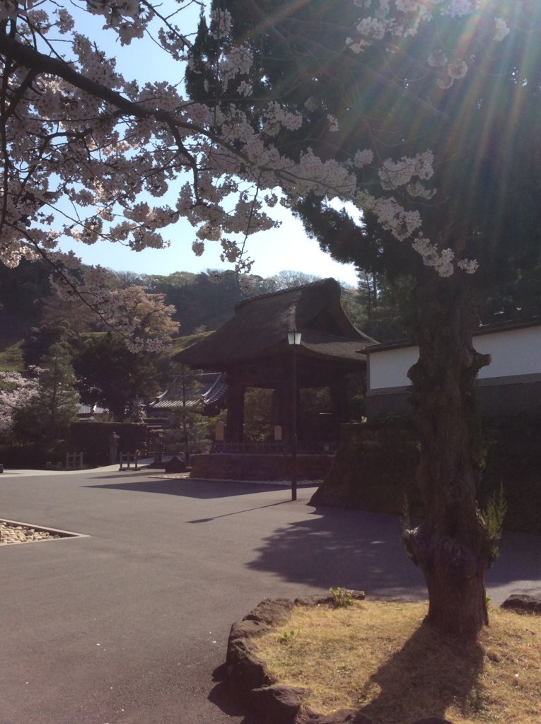 f:id:dohgen:20180329093302j:plain