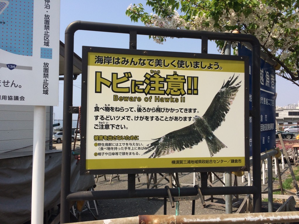 f:id:dohgen:20180404104638j:plain