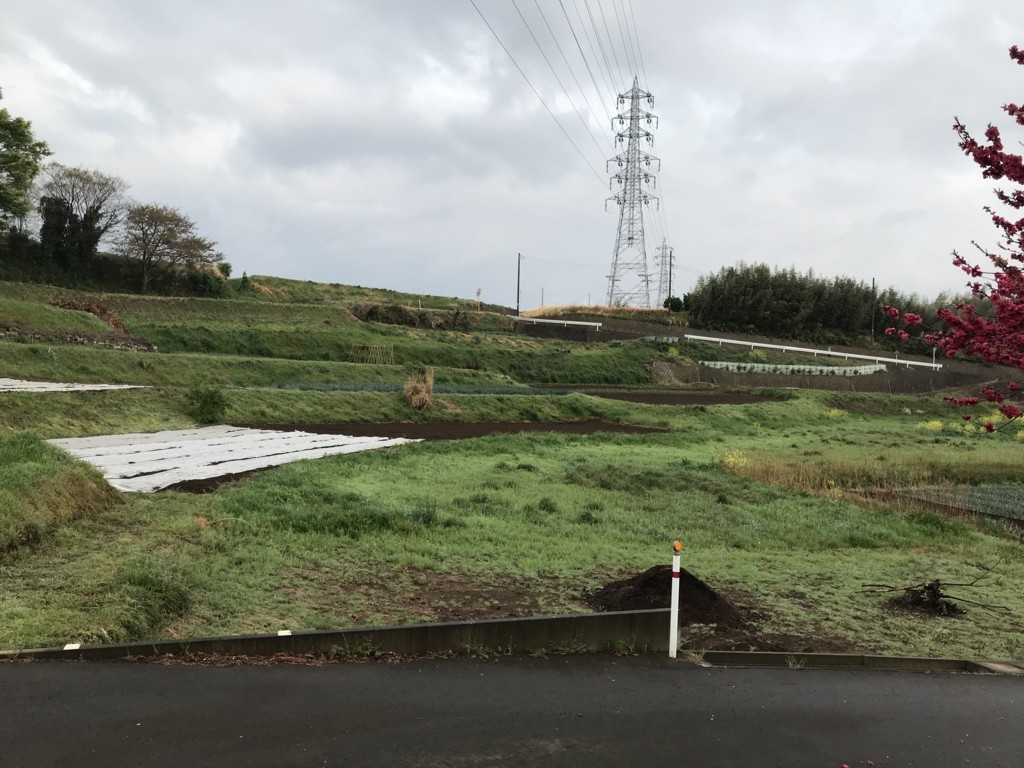 f:id:dohgen:20180406061627j:plain