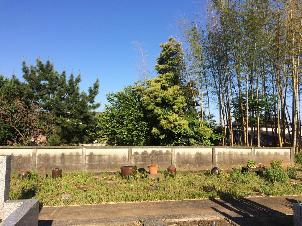 f:id:dohgen:20180504163142j:plain