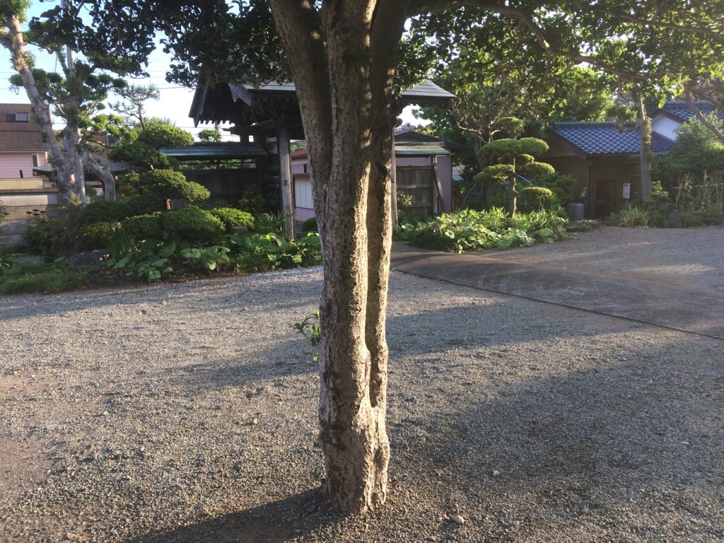 f:id:dohgen:20180504172157j:plain