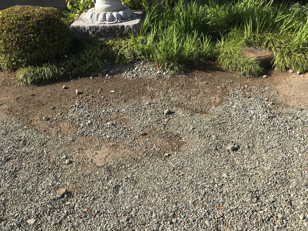 f:id:dohgen:20180525164747j:plain