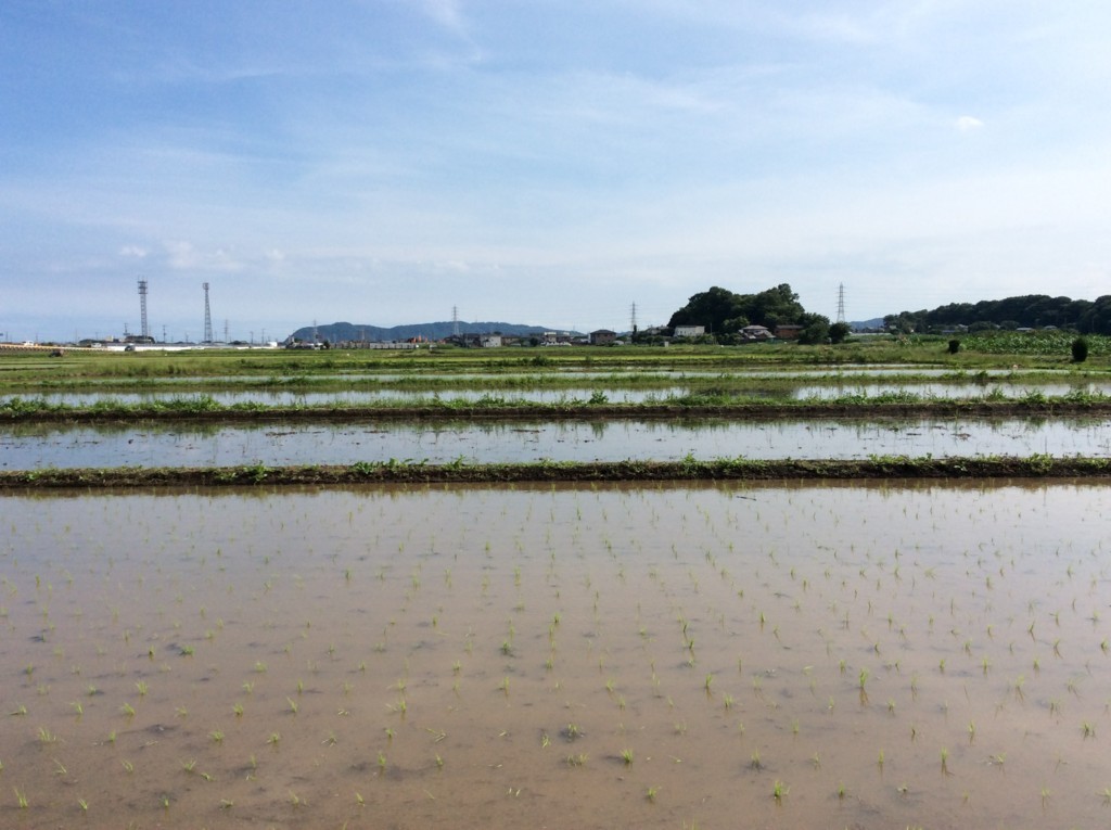 f:id:dohgen:20180617151850j:plain