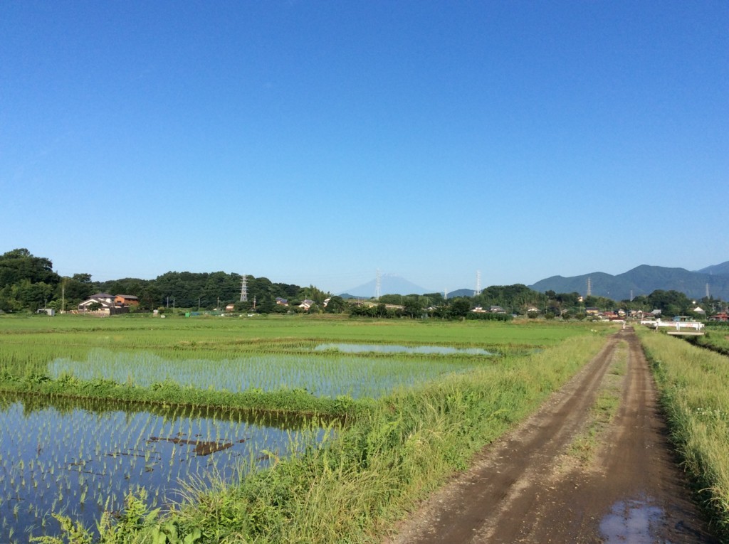 f:id:dohgen:20180625064153j:plain