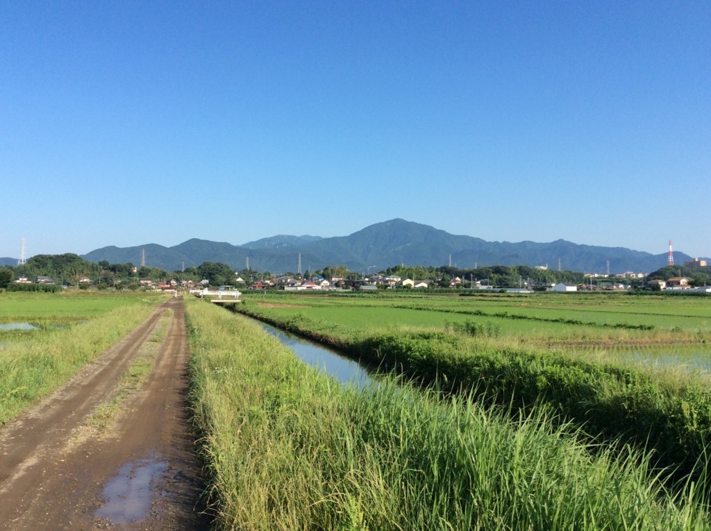 f:id:dohgen:20180625064201j:plain