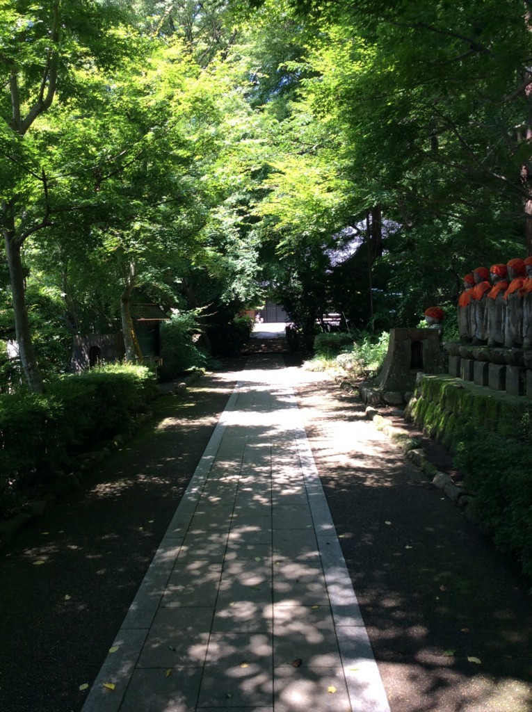 f:id:dohgen:20180625100202j:plain