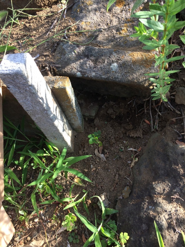 f:id:dohgen:20180703065050j:plain f:id:dohgen:20180703065050j:plain