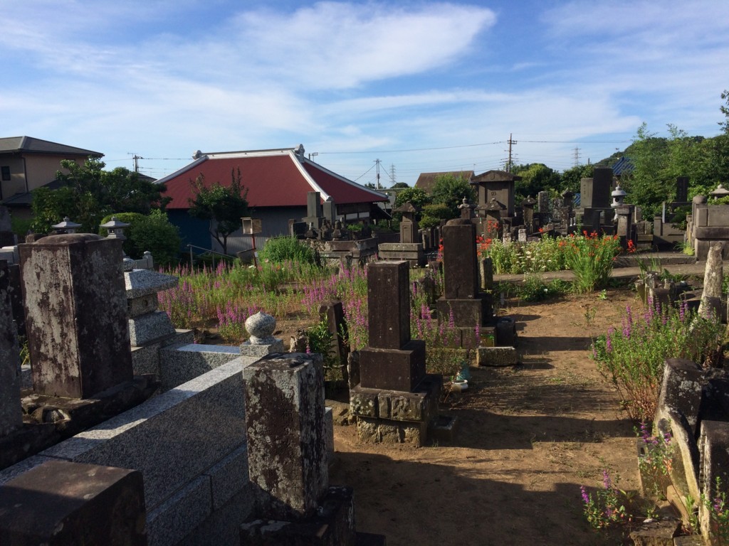 f:id:dohgen:20180703065100j:plain f:id:dohgen:20180703065100j:plain