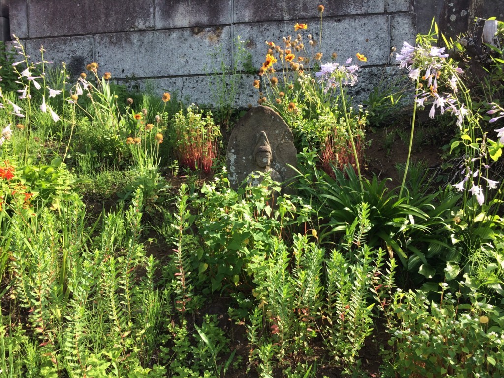 f:id:dohgen:20180703071834j:plain f:id:dohgen:20180703071834j:plain