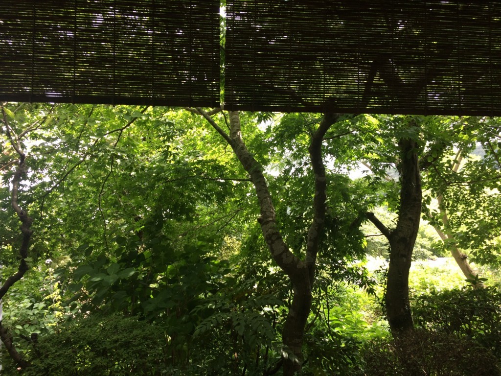 f:id:dohgen:20180729131444j:plain