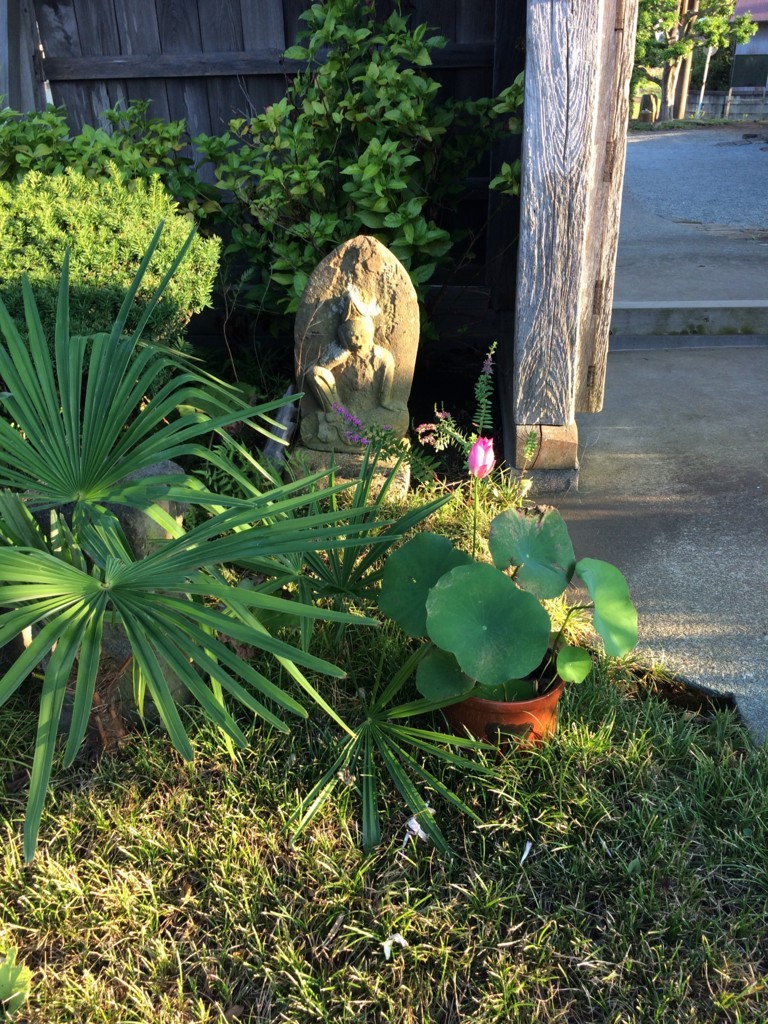 f:id:dohgen:20180731174142j:plain