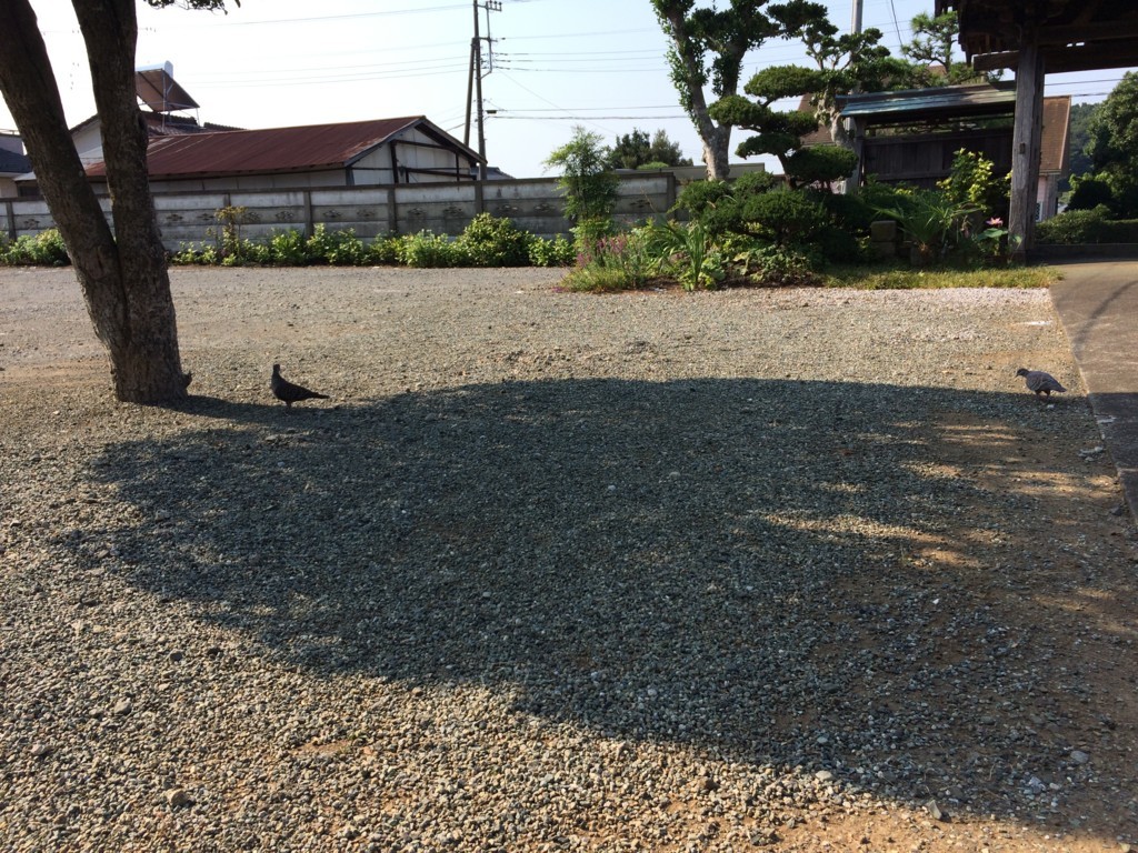 f:id:dohgen:20180802082321j:plain