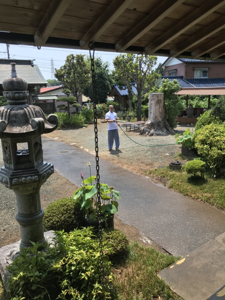 f:id:dohgen:20180805231623j:plain