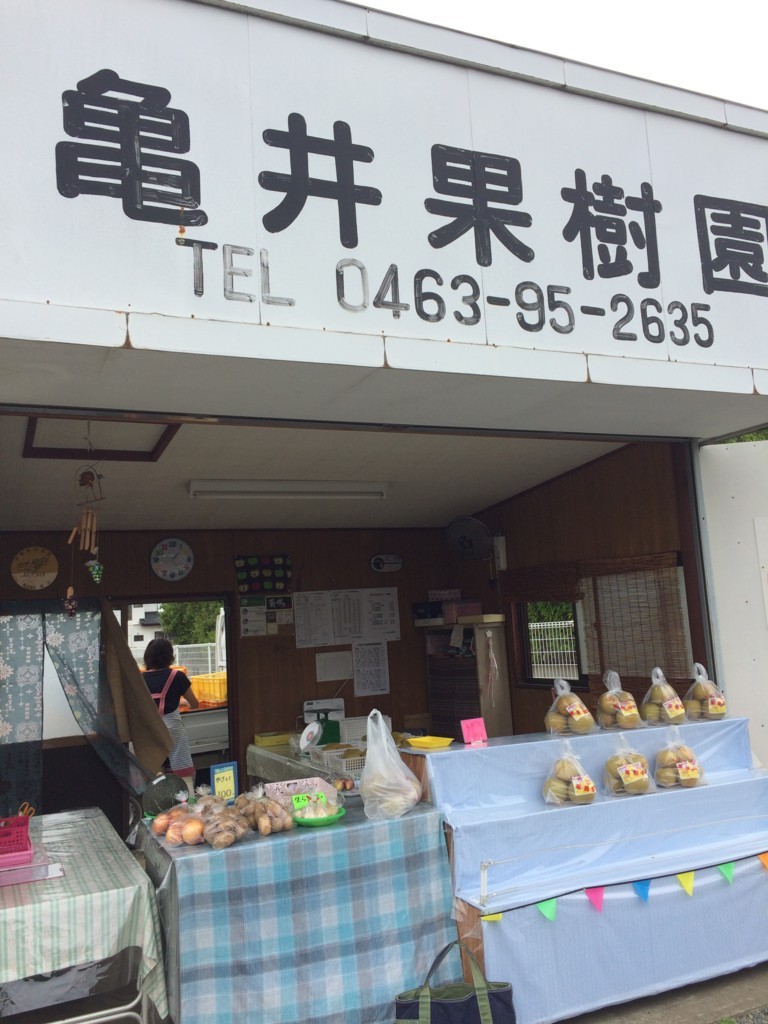 f:id:dohgen:20180820132529j:plain