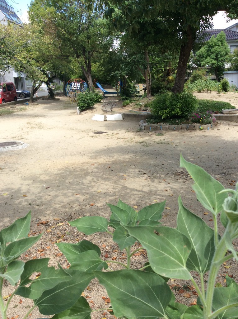 f:id:dohgen:20180831112846j:plain