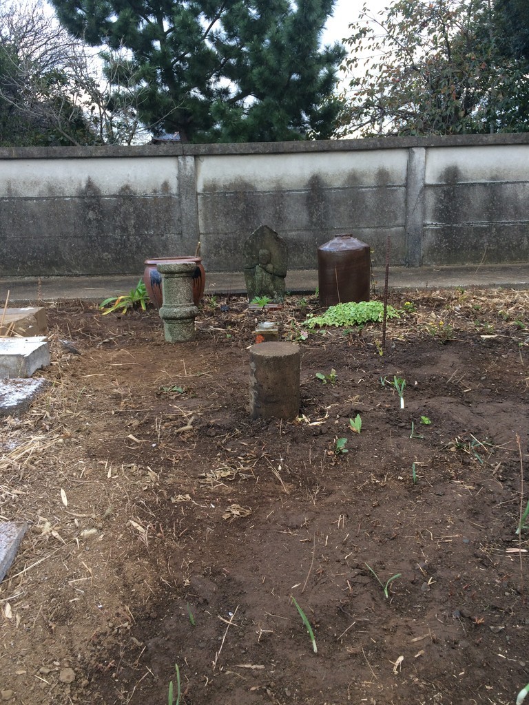f:id:dohgen:20181103154830j:plain