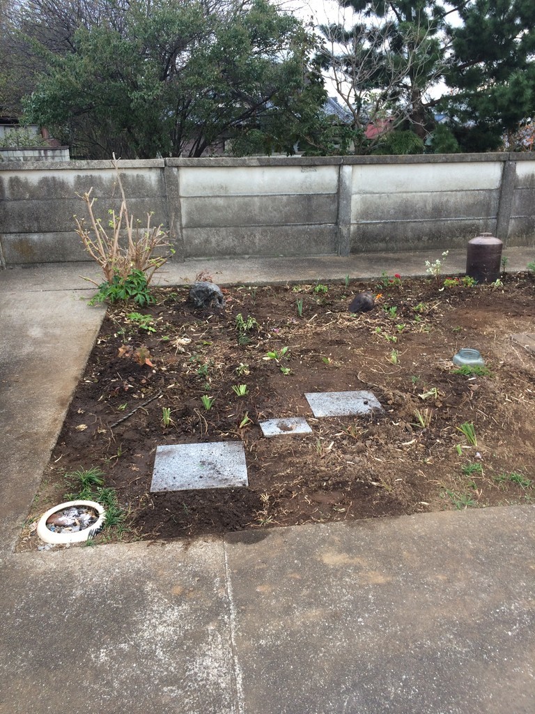 f:id:dohgen:20181103155901j:plain