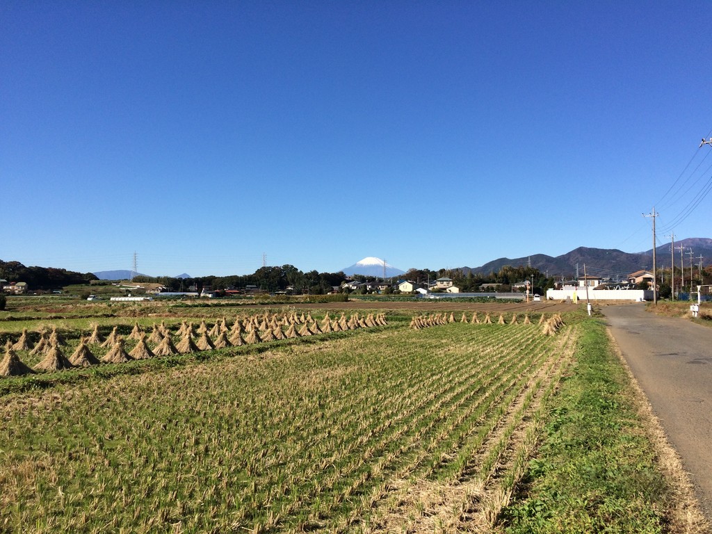 f:id:dohgen:20181115095052j:plain
