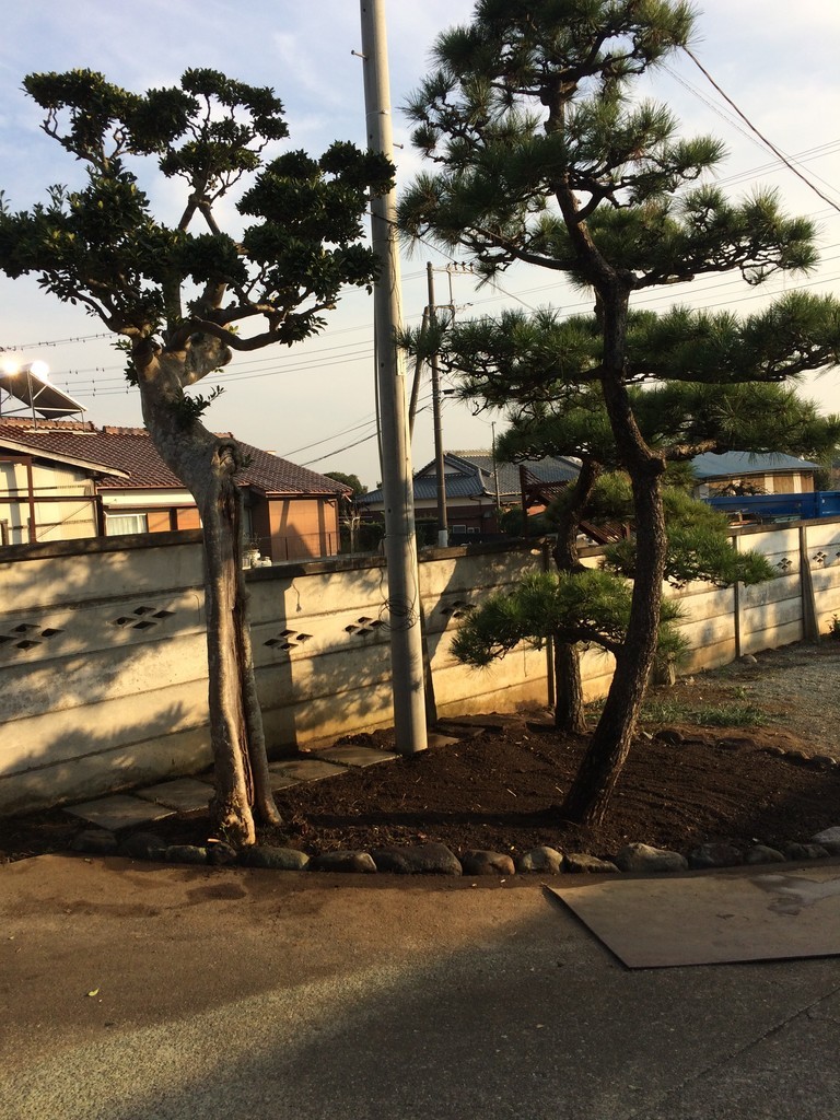f:id:dohgen:20181128145913j:plain