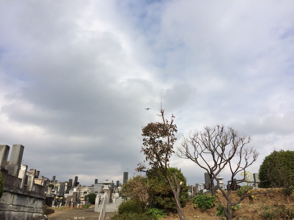 f:id:dohgen:20181129114011j:plain f:id:dohgen:20181129114011j:plain
