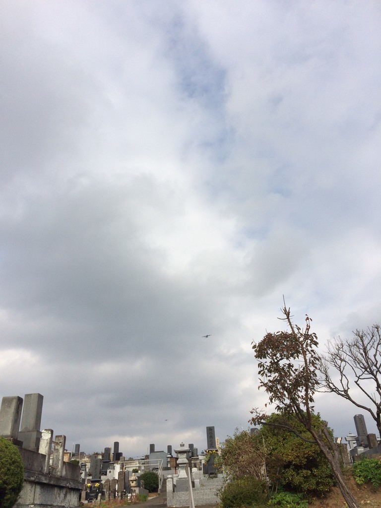 f:id:dohgen:20181129114055j:plain f:id:dohgen:20181129114055j:plain