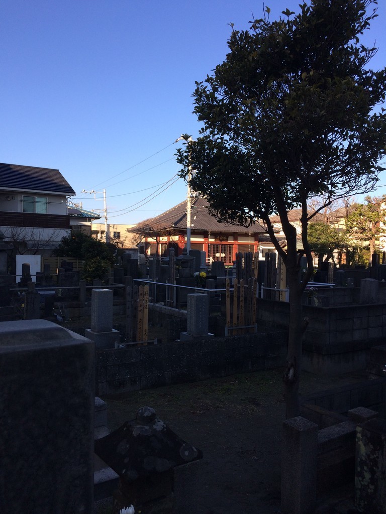 f:id:dohgen:20190101150654j:plain