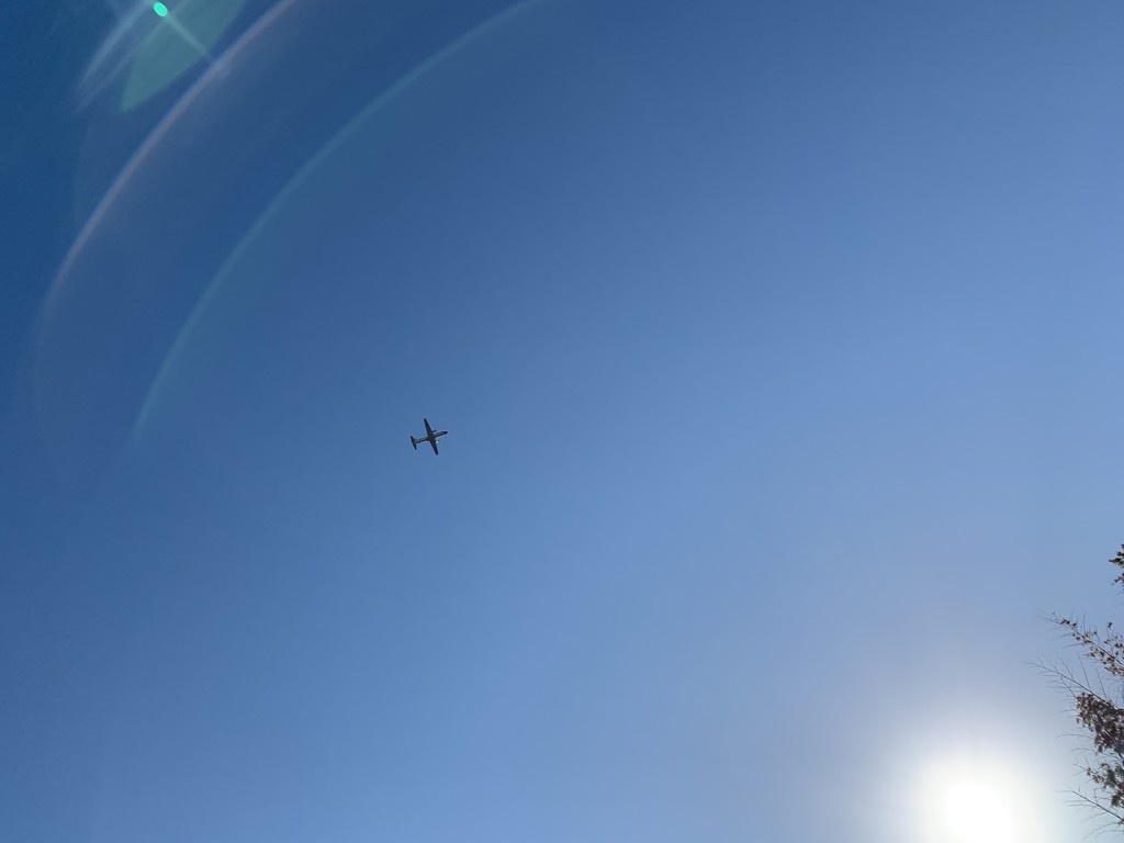 f:id:dohgen:20190114094257j:plain f:id:dohgen:20190114094257j:plain