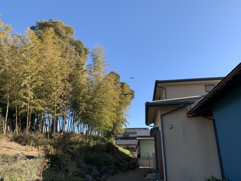 f:id:dohgen:20190118161627j:plain f:id:dohgen:20190118161627j:plain