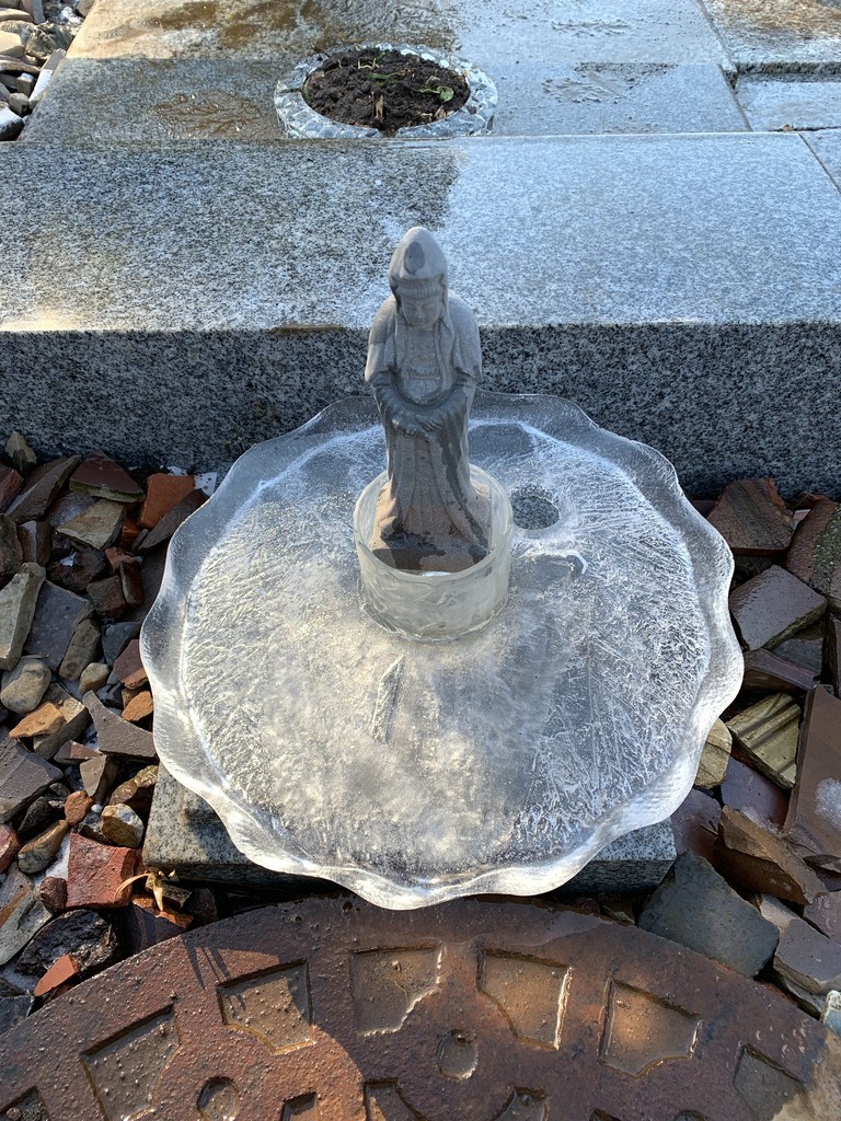 f:id:dohgen:20190122130236j:plain