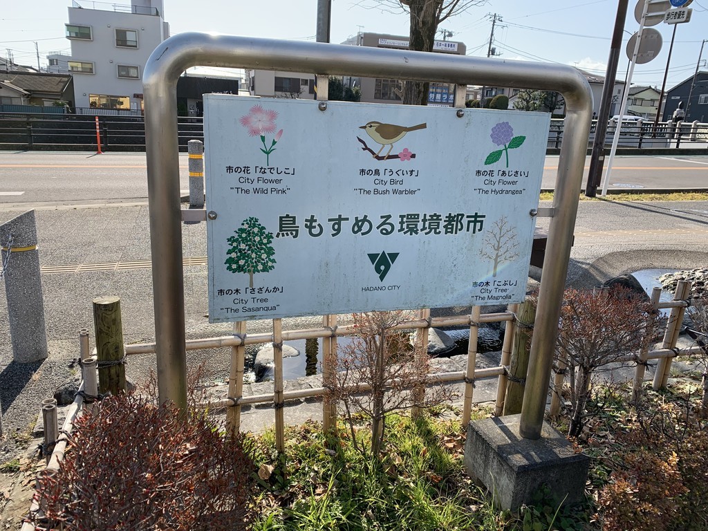 f:id:dohgen:20190124093852j:plain