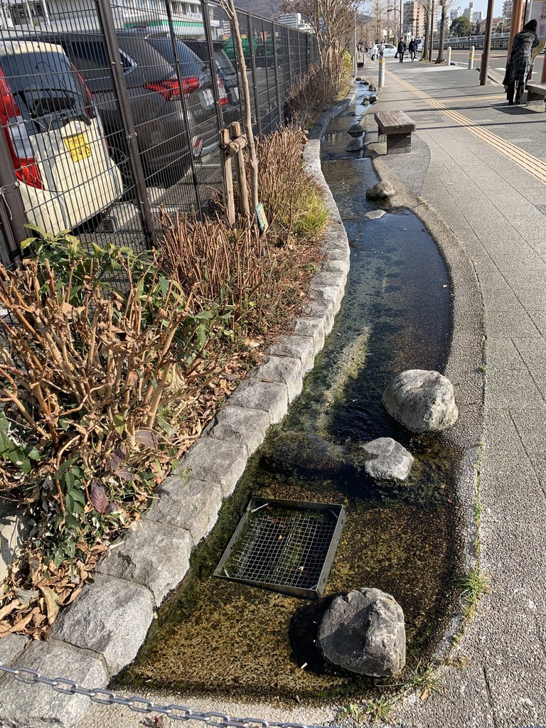 f:id:dohgen:20190124094315j:plain