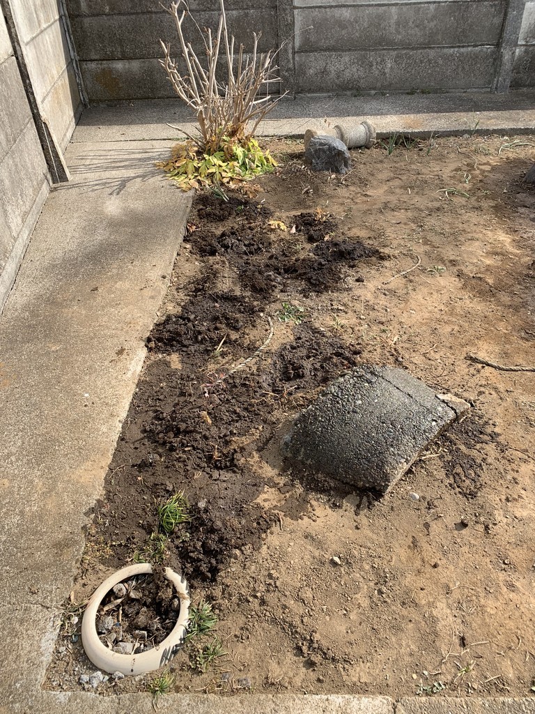 f:id:dohgen:20190128141646j:plain