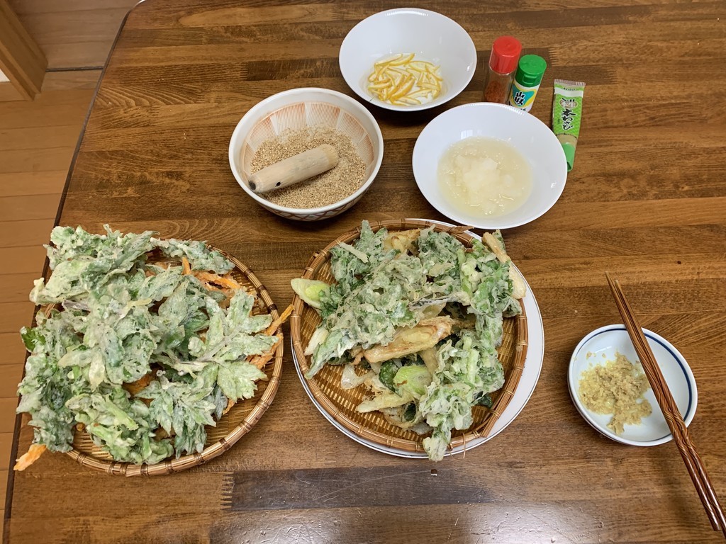 f:id:dohgen:20190130114544j:plain
