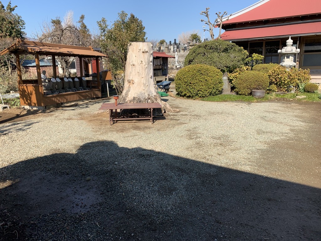f:id:dohgen:20190204183515j:plain