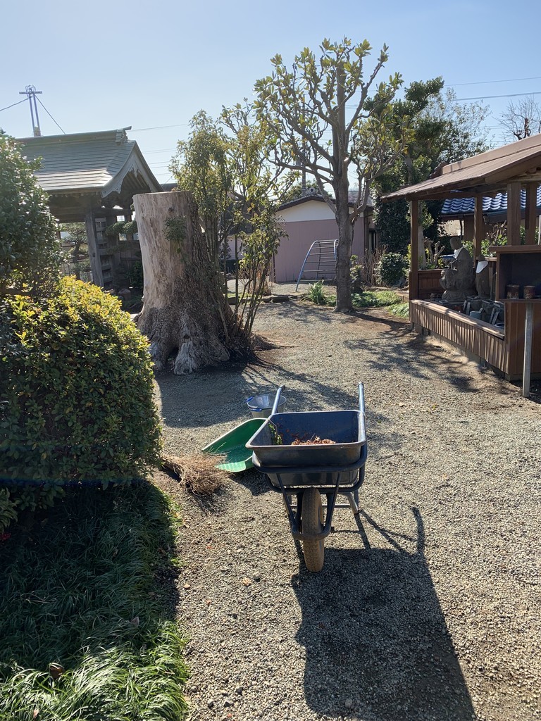f:id:dohgen:20190204183842j:plain