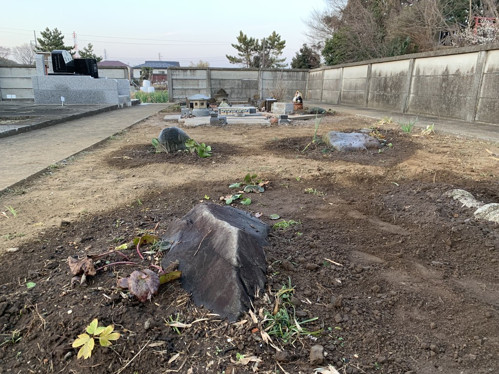 f:id:dohgen:20190218224924j:plain