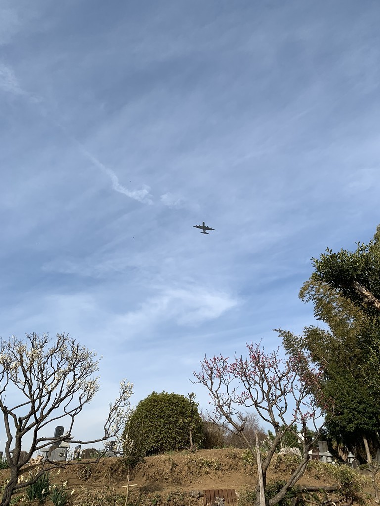 f:id:dohgen:20190222150836j:plain
