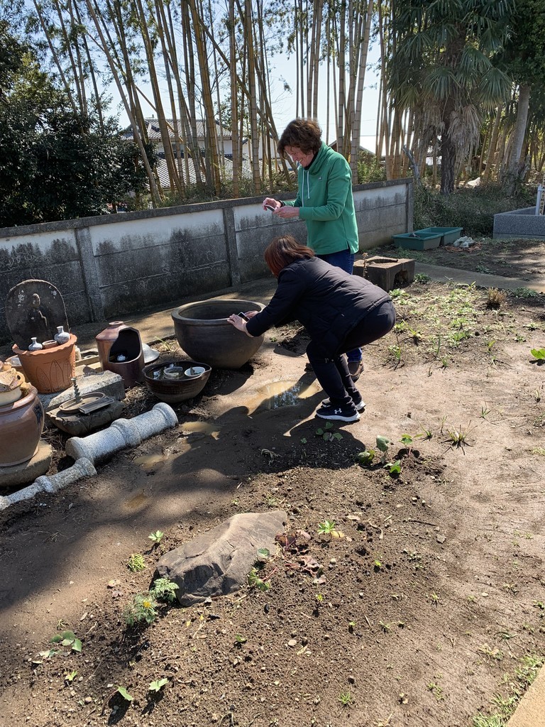 f:id:dohgen:20190309094438j:plain