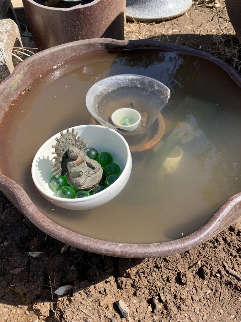 f:id:dohgen:20190309094550j:plain