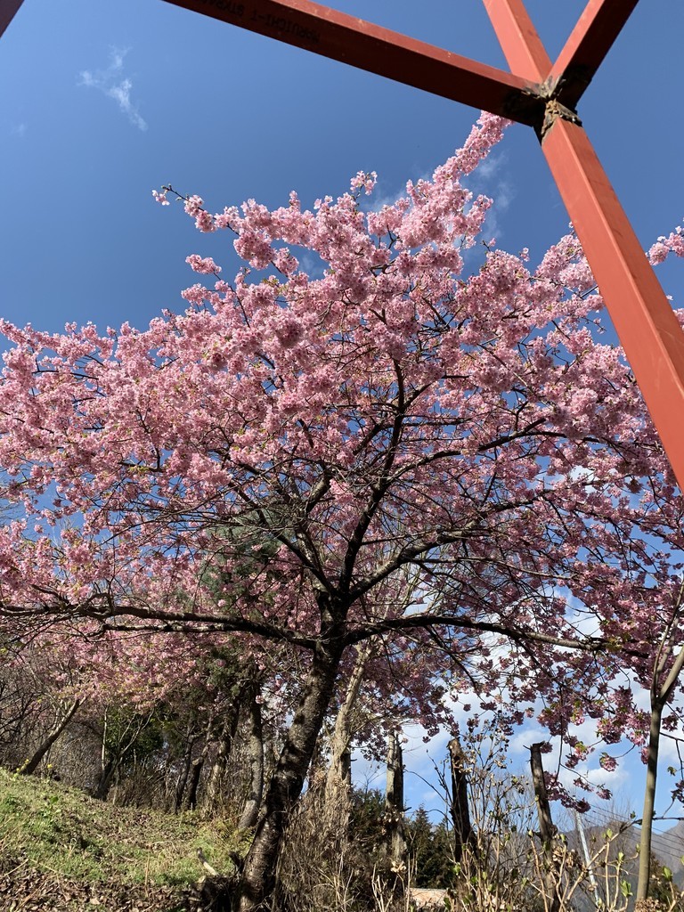 f:id:dohgen:20190309095005j:plain