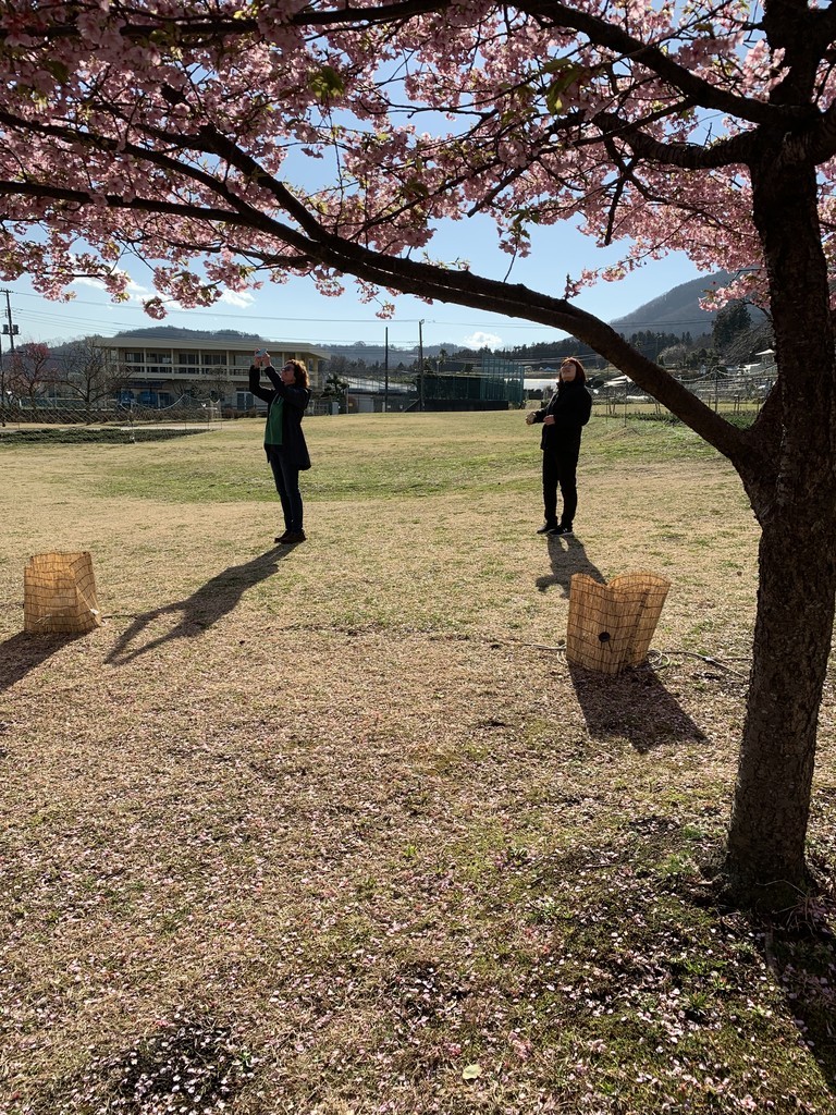 f:id:dohgen:20190309095409j:plain