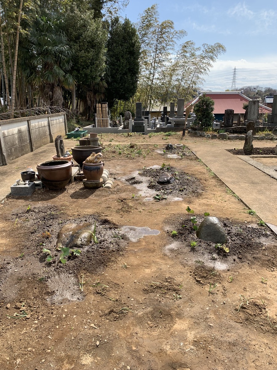 f:id:dohgen:20190314173228j:plain