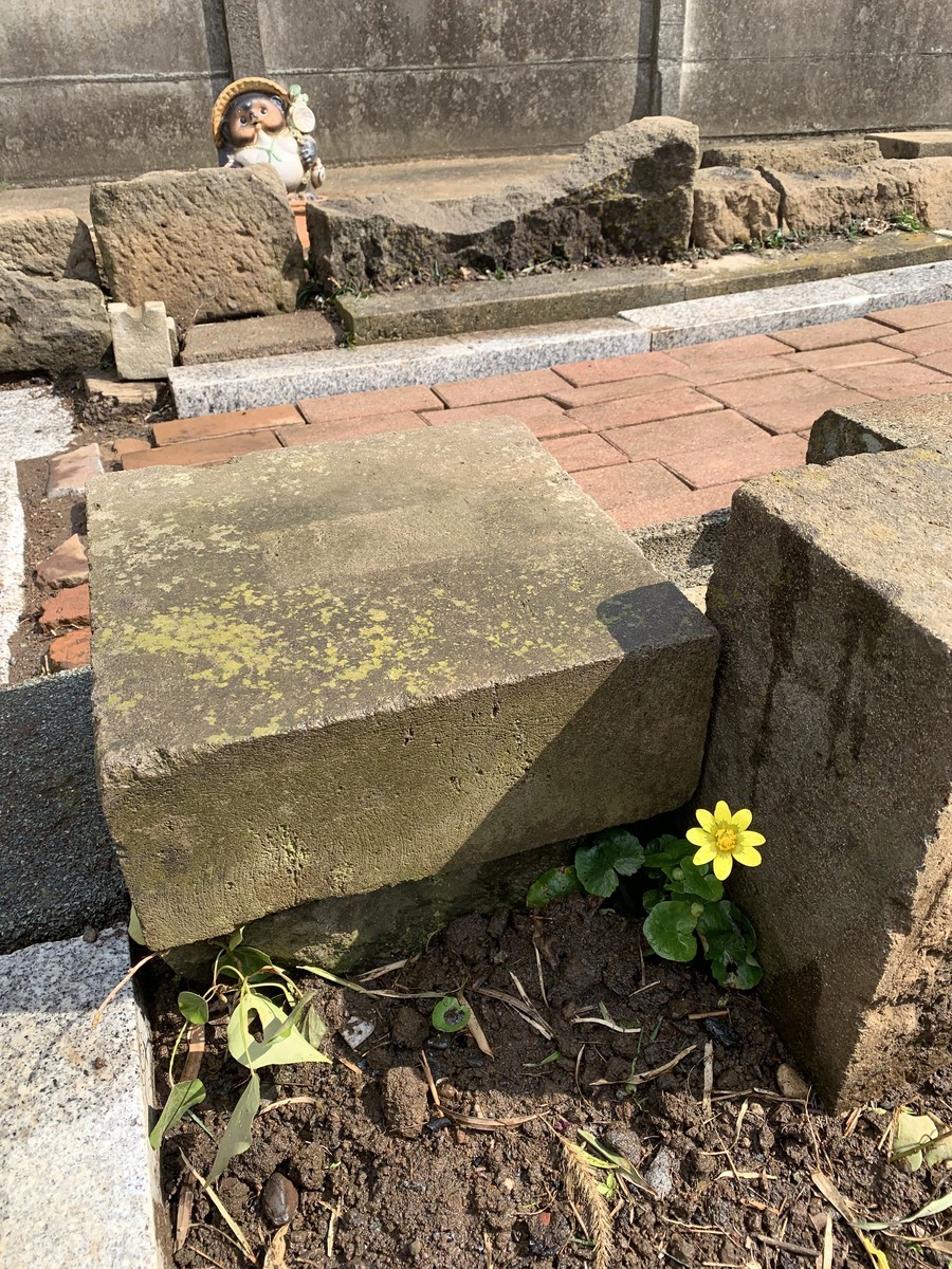 f:id:dohgen:20190314175331j:plain