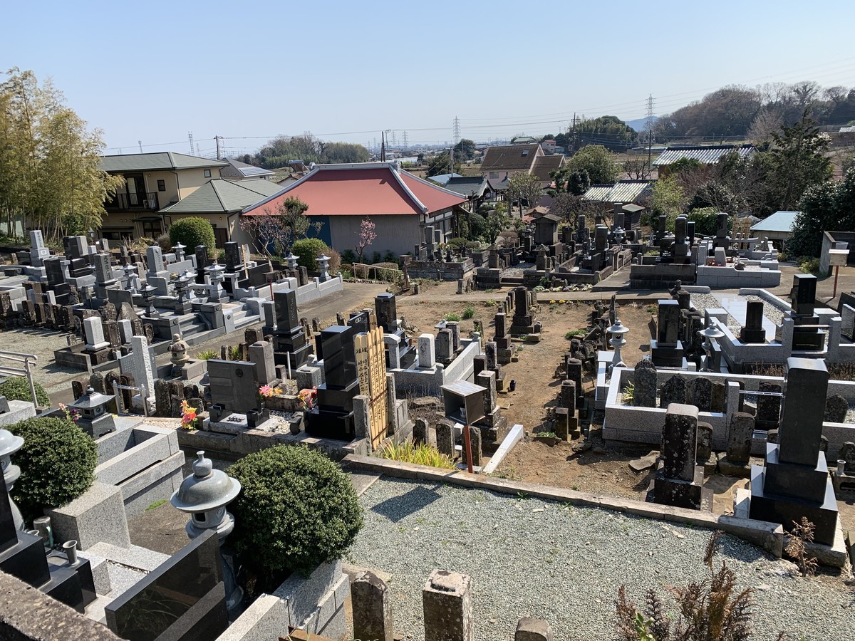 f:id:dohgen:20190316110718j:plain