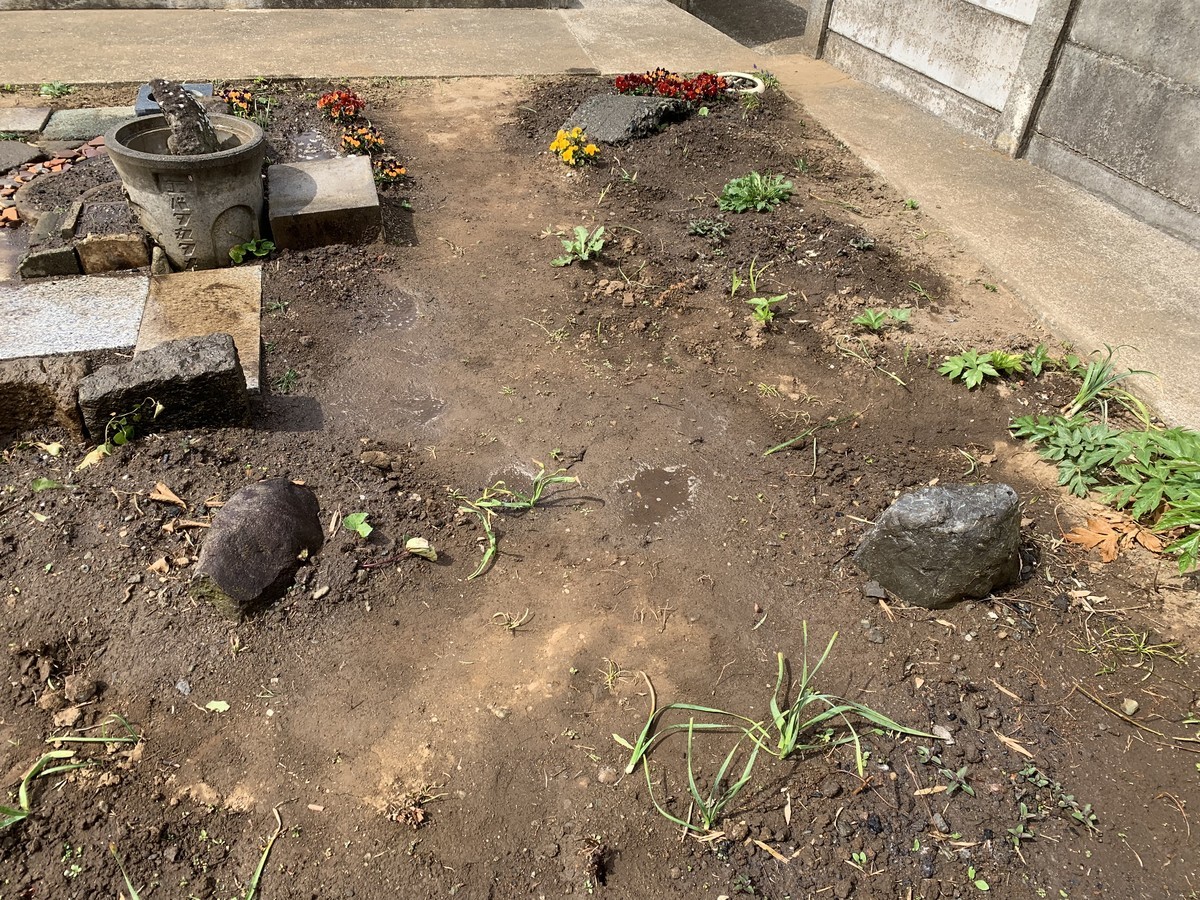 f:id:dohgen:20190319193523j:plain f:id:dohgen:20190319193523j:plain