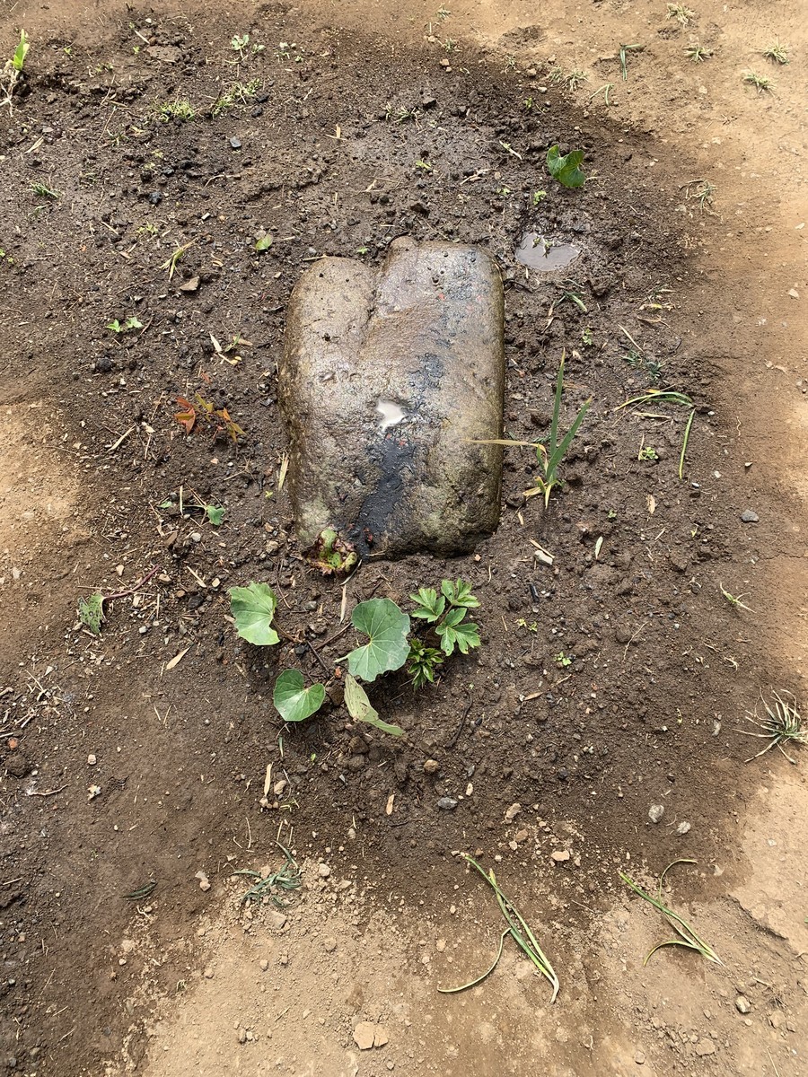 f:id:dohgen:20190319193953j:plain f:id:dohgen:20190319193953j:plain