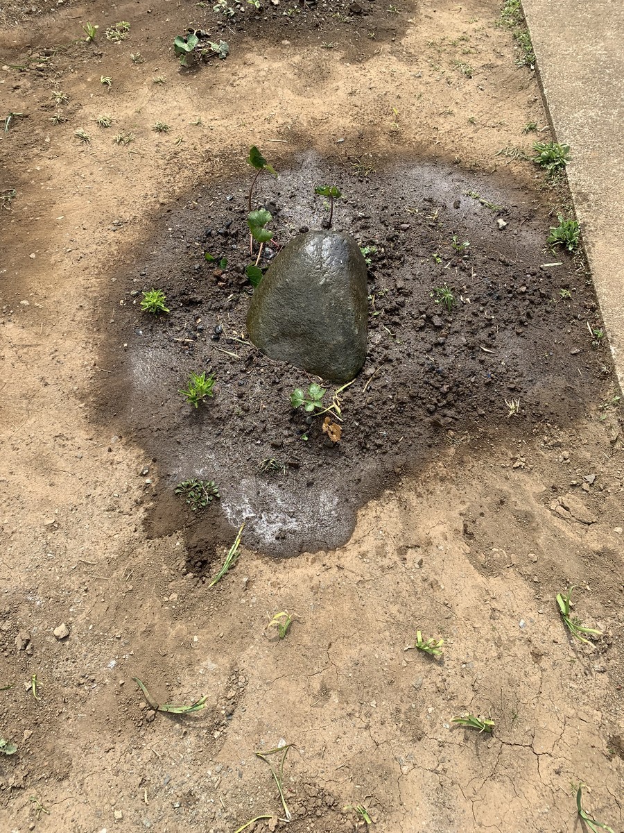 f:id:dohgen:20190319194200j:plain f:id:dohgen:20190319194200j:plain